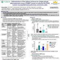 Determination optimal protocol COMET in NCI H292.