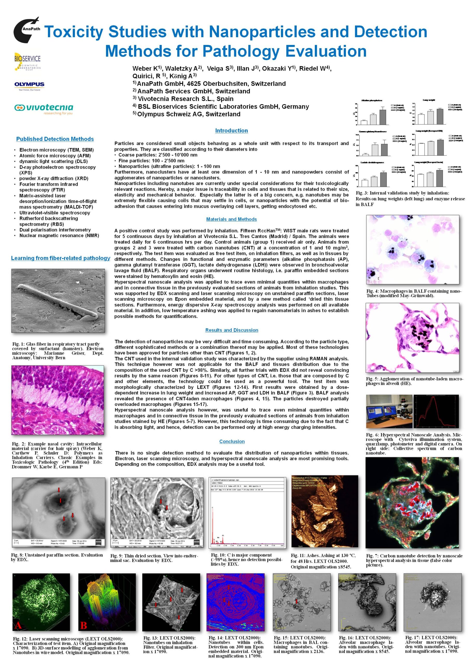 Toxicity Studies with Nanoparticles and Detection Methods for Pathology Evaluation